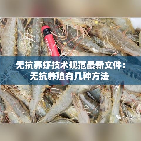 无抗养虾技术规范最新文件：无抗养殖有几种方法 