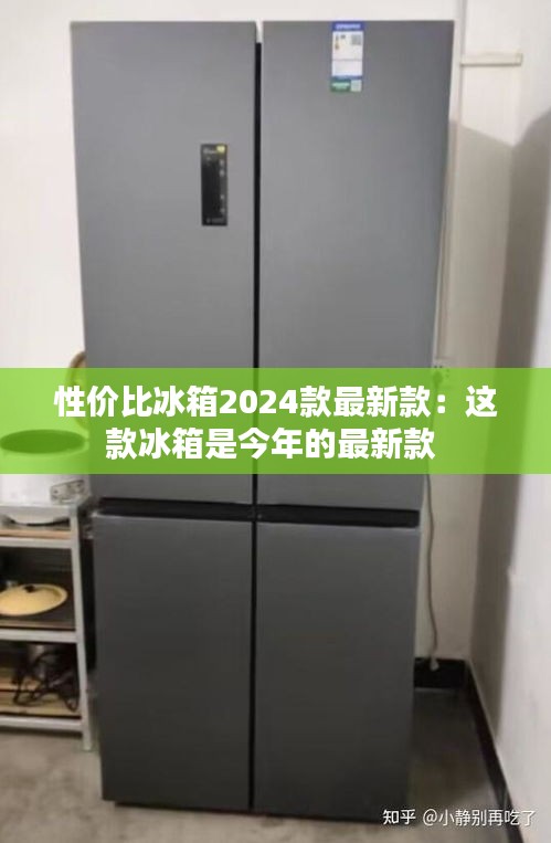 性价比冰箱2024款最新款：这款冰箱是今年的最新款 