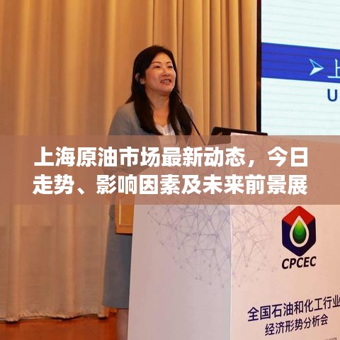 上海原油市场最新动态，今日走势、影响因素及未来前景展望