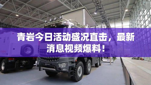 青岩今日活动盛况直击，最新消息视频爆料！