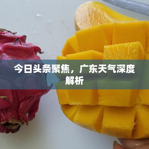 两袖清风 第3页