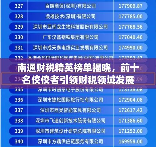南通财税精英榜单揭晓，前十名佼佼者引领财税领域发展
