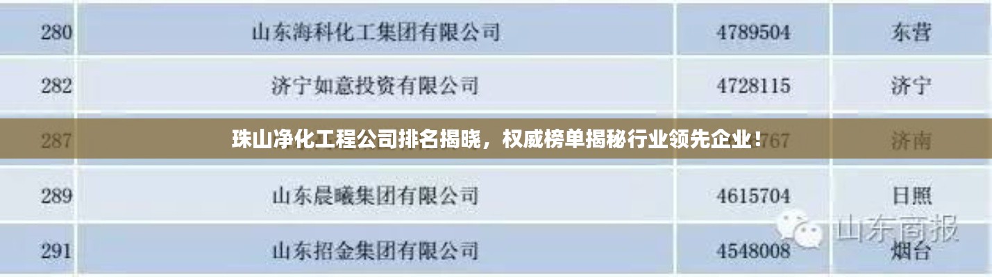 珠山净化工程公司排名揭晓，权威榜单揭秘行业领先企业！