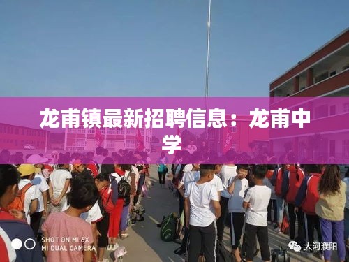 龙甫镇最新招聘信息：龙甫中学 