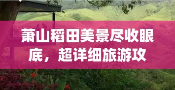 萧山稻田美景尽收眼底，超详细旅游攻略