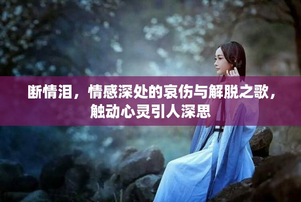 断情泪，情感深处的哀伤与解脱之歌，触动心灵引人深思