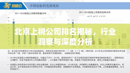 北京上税公司排名揭秘，行业洞察与深度分析