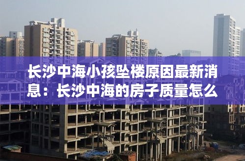 字斟句酌 第2页
