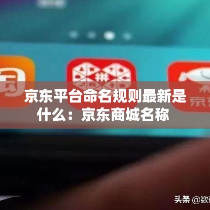 京东平台命名规则最新是什么：京东商城名称 