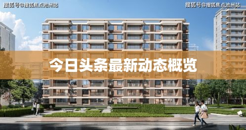 今日头条最新动态概览