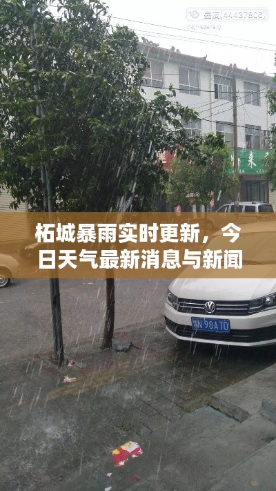 柘城暴雨实时更新，今日天气最新消息与新闻报道