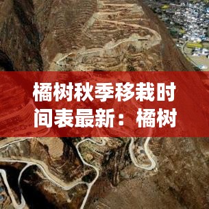 望其项背 第2页