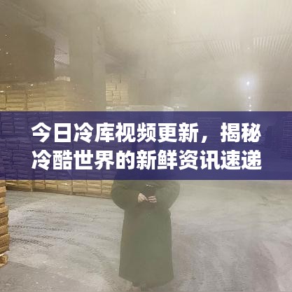 今日冷库视频更新，揭秘冷酷世界的新鲜资讯速递