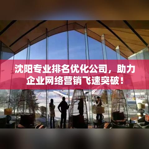 沈阳专业排名优化公司，助力企业网络营销飞速突破！
