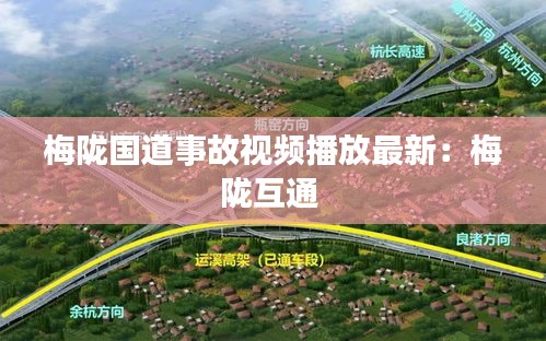 梅陇国道事故视频播放最新：梅陇互通 