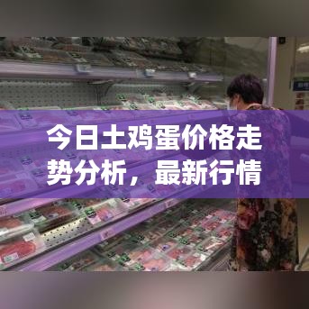 今日土鸡蛋价格走势分析，最新行情解读