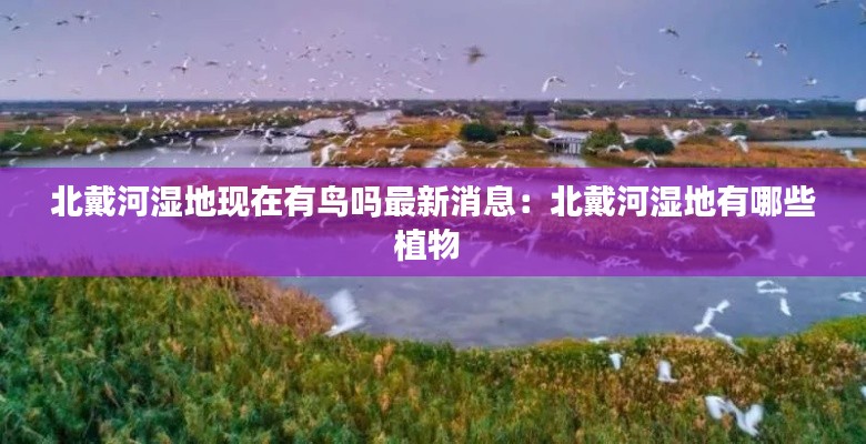 北戴河湿地现在有鸟吗最新消息：北戴河湿地有哪些植物 