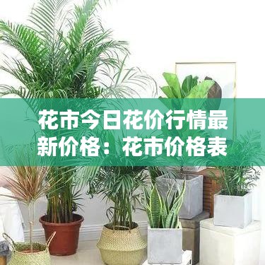 花市今日花价行情最新价格：花市价格表 