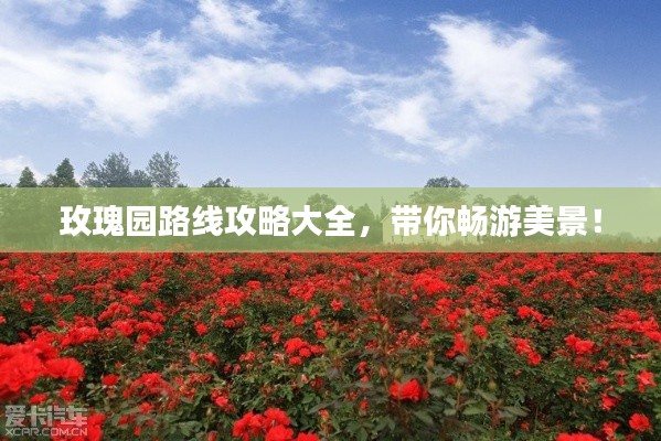 玫瑰园路线攻略大全，带你畅游美景！