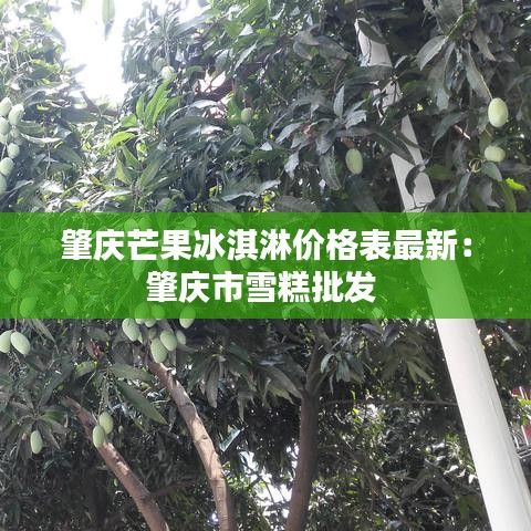 独学寡闻 第2页