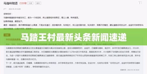 马踏王村最新头条新闻速递