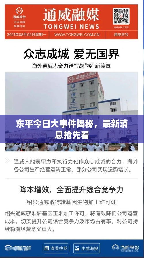 东平今日大事件揭秘，最新消息抢先看