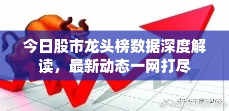 今日股市龙头榜数据深度解读，最新动态一网打尽