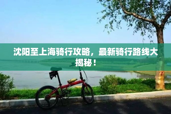 沈阳至上海骑行攻略，最新骑行路线大揭秘！