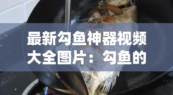 最新勾鱼神器视频大全图片：勾鱼的做法步骤视频 