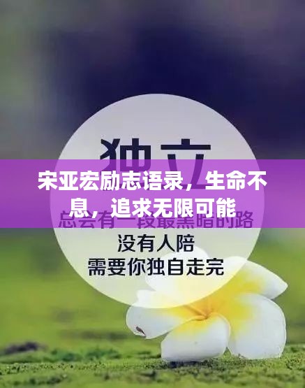 宋亚宏励志语录，生命不息，追求无限可能