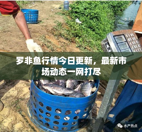 资料大全 第177页