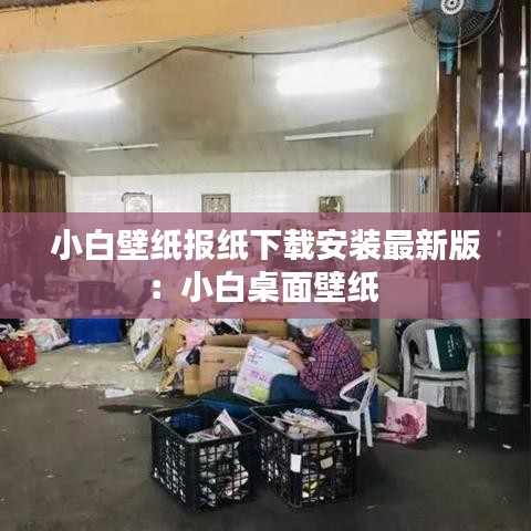 小白壁纸报纸下载安装最新版：小白桌面壁纸 