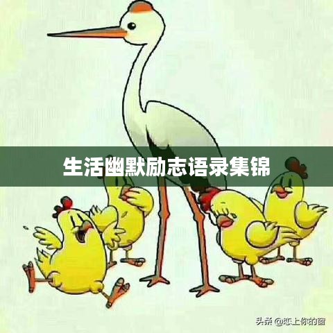 杳无音讯 第3页