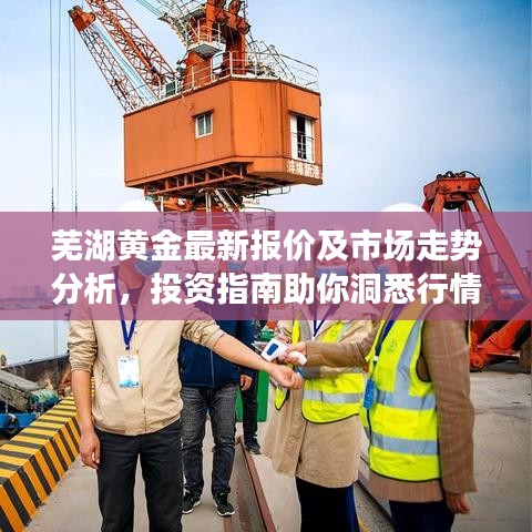 芜湖黄金最新报价及市场走势分析，投资指南助你洞悉行情
