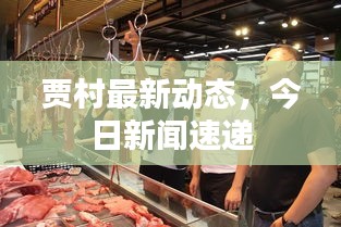 贾村最新动态，今日新闻速递