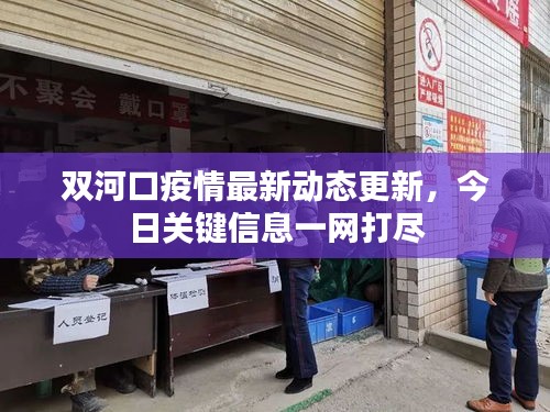 双河口疫情最新动态更新，今日关键信息一网打尽