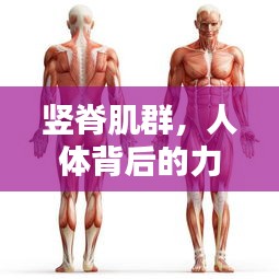 鬼张鬼智 第2页