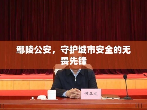 倦鸟知还 第2页