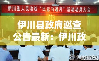 伊川县政府巡查公告最新：伊川政府网 