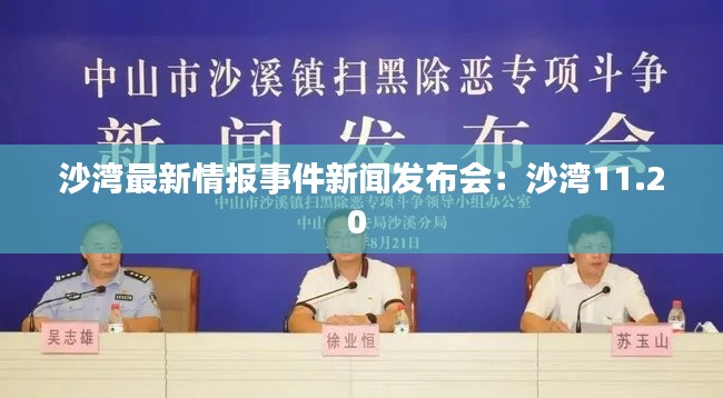 沙湾最新情报事件新闻发布会：沙湾11.20 