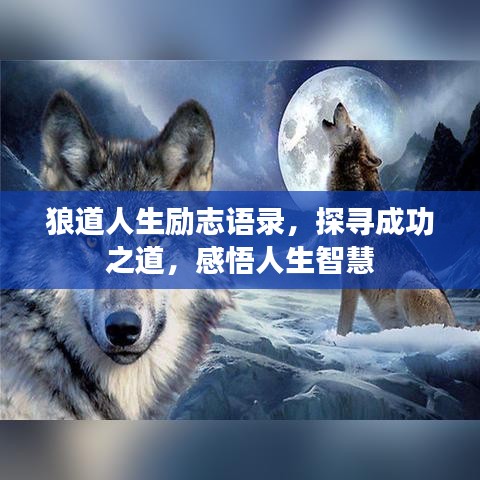 狼道人生励志语录，探寻成功之道，感悟人生智慧