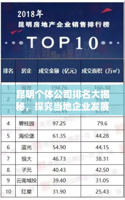 昆明个体公司排名大揭秘，探究当地企业发展的活力源泉