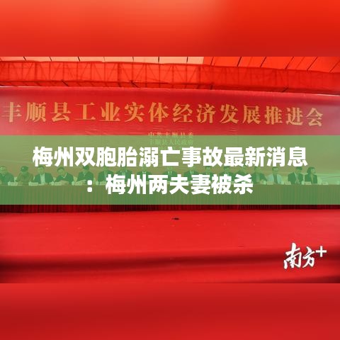 梅州双胞胎溺亡事故最新消息：梅州两夫妻被杀 