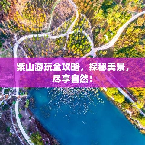 紫山游玩全攻略，探秘美景，尽享自然！
