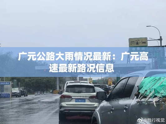 广元公路大雨情况最新：广元高速最新路况信息 