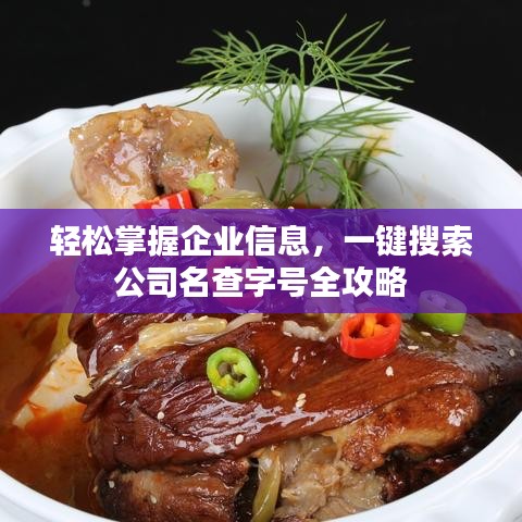 轻松掌握企业信息，一键搜索公司名查字号全攻略