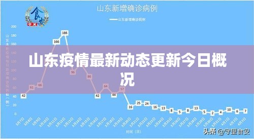 山东疫情最新动态更新今日概况