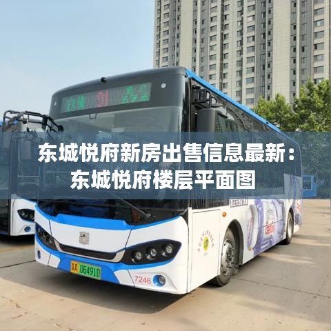 东城悦府新房出售信息最新：东城悦府楼层平面图 