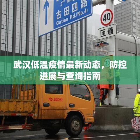 武汉低温疫情最新动态，防控进展与查询指南