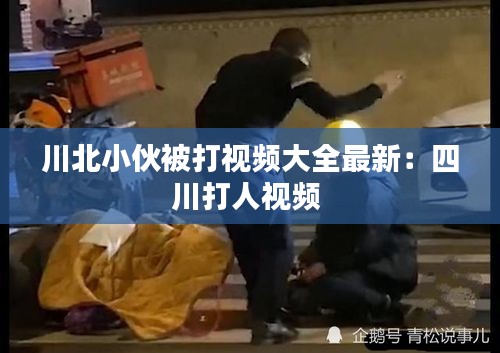 川北小伙被打视频大全最新：四川打人视频 